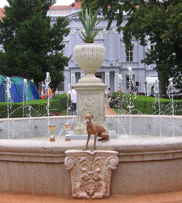 Phoebe a Poháry