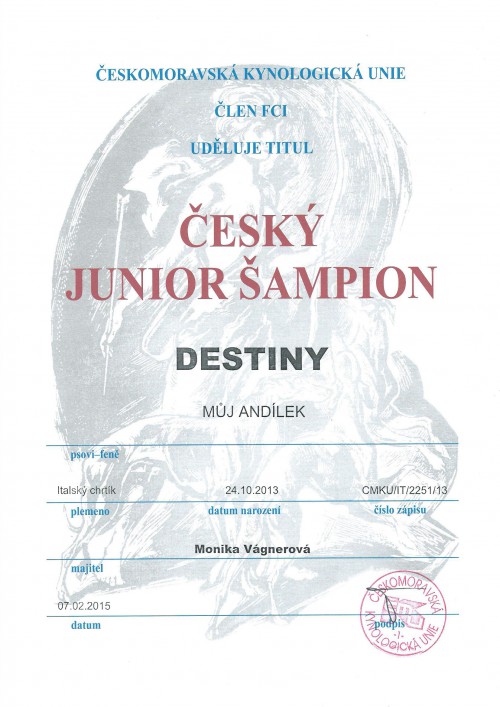 destiny-junior-sampion-.jpg