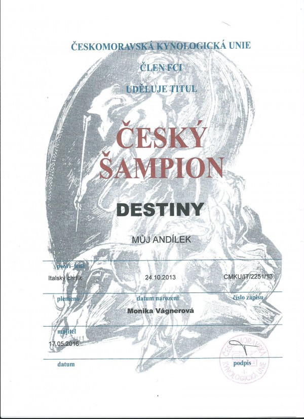 destiny-sampion-.jpg