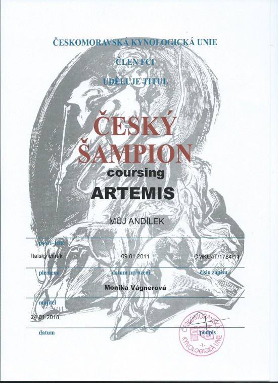 cesky-coursingovy-sampion-artemis.jpg