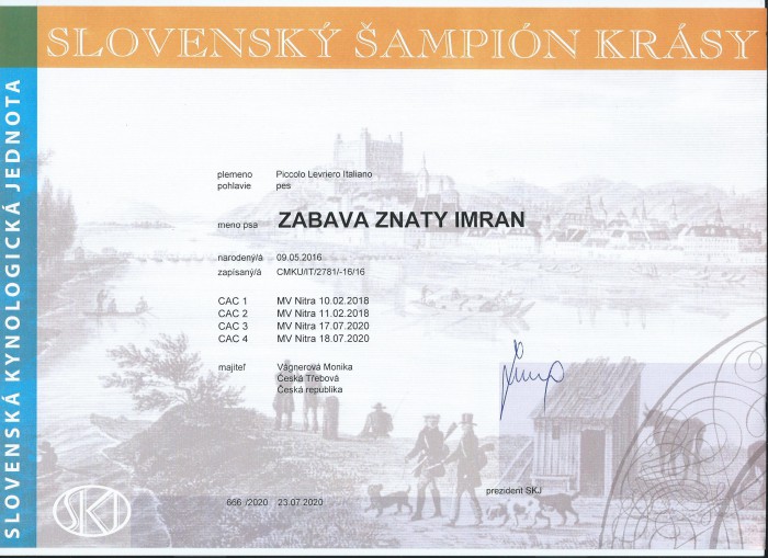 zabava-znaty-imran-slovensky-sampion.jpg