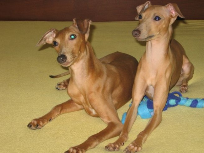 charlott-a-isabellka-2.jpg