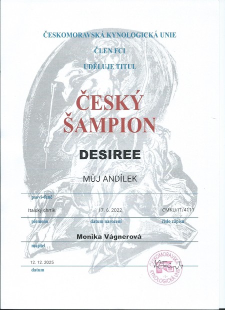 desiree-muj-andilek--sampion.jpg