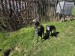 20260427_101408_resized
